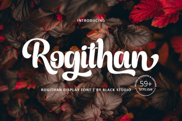 Rogithan: A Luxe Display Font That Feels Like a Secret Weapon